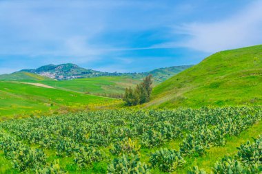 Doğa Merkezi Sicilya, Ital