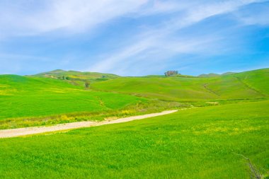 Doğa Merkezi Sicilya, Ital