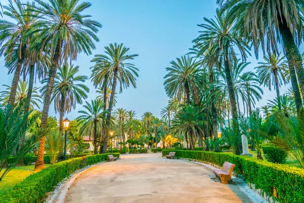 View of palms in the park villa bonanno in Palermo, Sicily, Ital