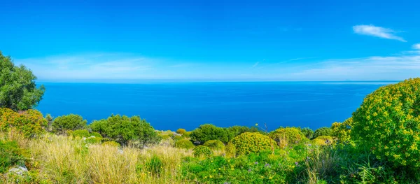 Άποψη Της Παρθένα Φύση Στην Κορυφή Του Rocca Cefalu Σικελία — Φωτογραφία Αρχείου