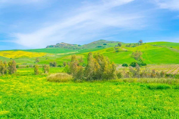 Natuur Centrale Sicilië Ital — Stockfoto