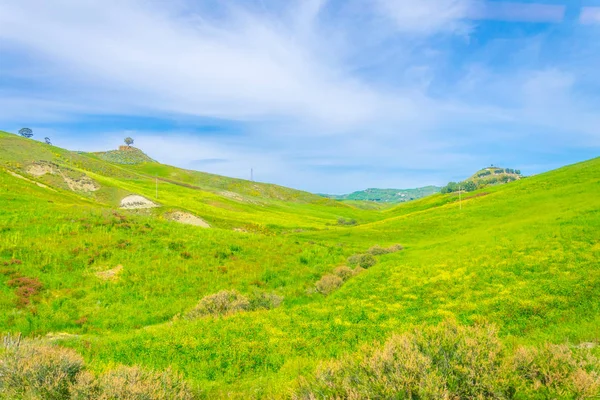 Natura Nella Sicilia Centrale Ital — Foto Stock