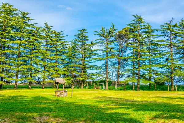 Castello Lombardia Enna Sicilya Tal — Stok fotoğraf