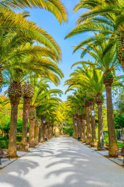 Ragusa, Sicilya, Ital Ibleo bahçelerde