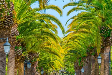 Ragusa, Sicilya, Ital Ibleo bahçelerde