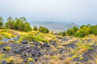 Sicilya, Ital etna Dağı yamacında bayındır yabani bitki örtüsü