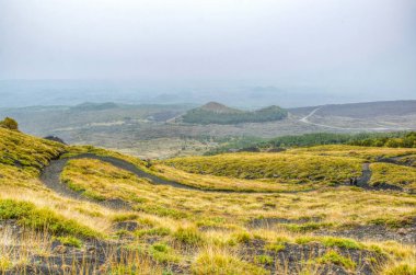 Sicilya, Ital etna Dağı yamacında bayındır yabani bitki örtüsü