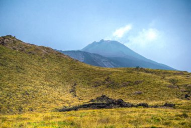 Sicilya, Ital etna Dağı yamacında bayındır yabani bitki örtüsü