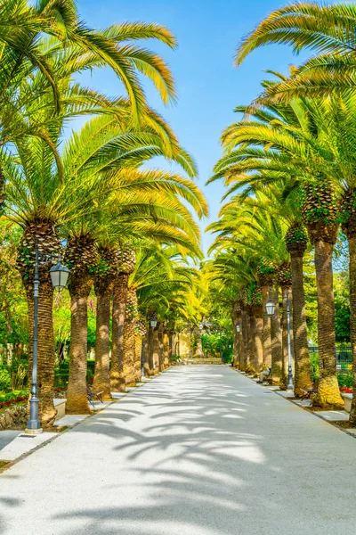 Ragusa, Sicilya, Ital Ibleo bahçelerde