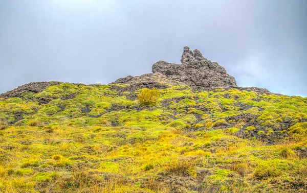 Vilda Växtligheten Frodas Sluttningen Mount Etna Sicilien Ital — Stockfoto