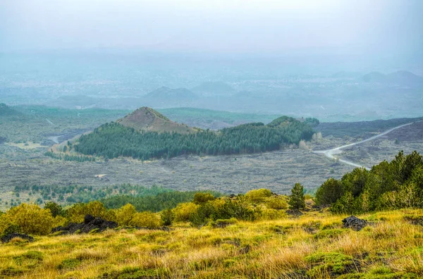 wild vegetation flourishing on slope of mount etna in Sicily, Ital