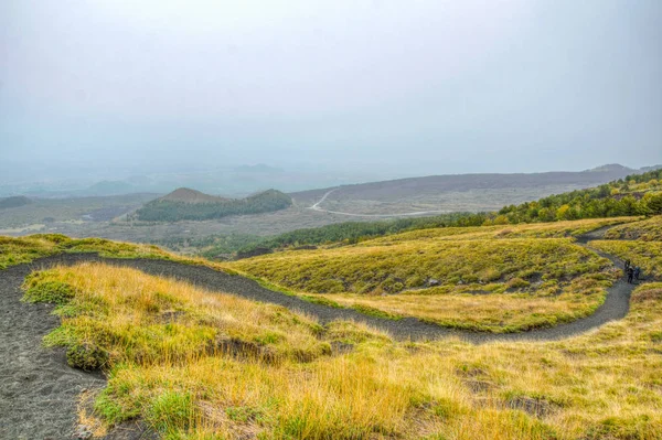 Sicilya, Ital etna Dağı yamacında bayındır yabani bitki örtüsü