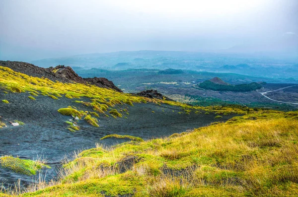 Vegetación Silvestre Floreciendo Ladera Del Monte Etna Sicilia Ital — Foto de Stock