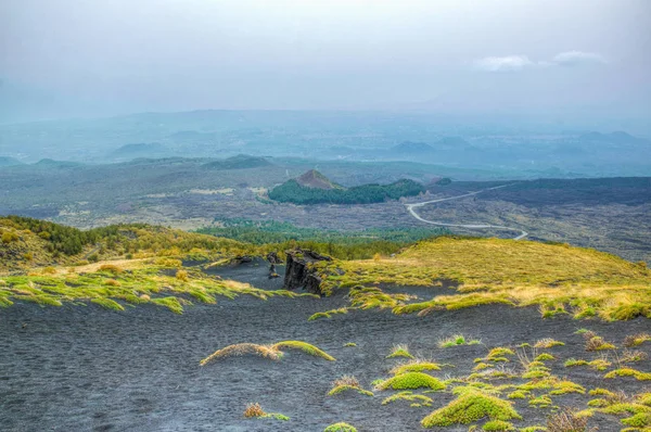 Wilde Vegetatie Bloeiend Helling Van Etna Sicilië Ital — Stockfoto