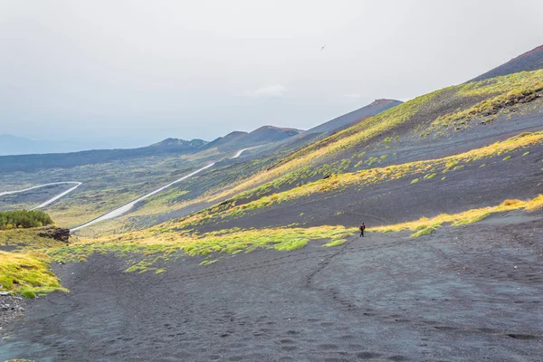 Vegetación Silvestre Floreciendo Ladera Del Monte Etna Sicilia Ital — Foto de Stock