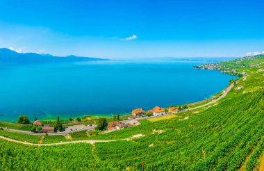Lavaux şarap bölgesi yakınındaki Lausanne, Switzerlan
