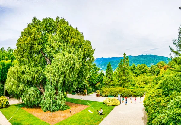 Jardins Palais Borromée Sur Isola Madre Ital — Photo