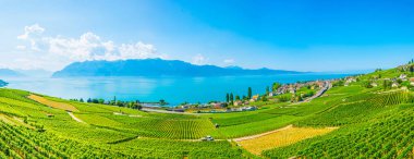 Lavaux şarap bölgesi yakınındaki Lausanne, Switzerlan