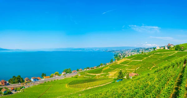 Lavaux Şarap Bölgesi Yakınındaki Lausanne Switzerlan — Stok fotoğraf