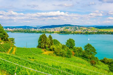 Bielersee Switzerlan içinde çevreleyen üzüm bağları