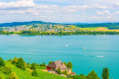Bielersee Switzerlan içinde çevreleyen üzüm bağları