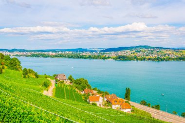 Bielersee Switzerlan içinde çevreleyen üzüm bağları