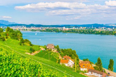 Bielersee Switzerlan içinde çevreleyen üzüm bağları