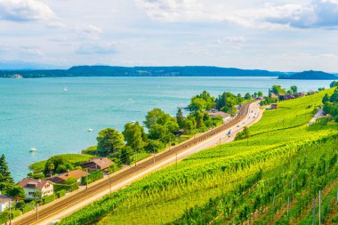 Bielersee Switzerlan içinde çevreleyen üzüm bağları