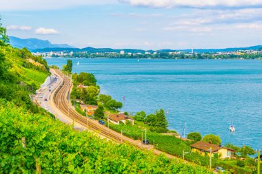 Bielersee Switzerlan içinde çevreleyen üzüm bağları