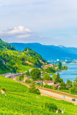 Bielersee Switzerlan içinde çevreleyen üzüm bağları