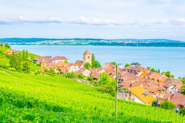 Bielersee Biel/Bienne Switzerlan içinde yakınında yer alan Twann-Tuscherz Köyü