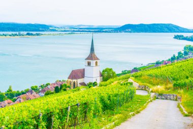 Ligerz ayakta Bielersee, Switzerlan, üzüm bağları ortasında kilisede