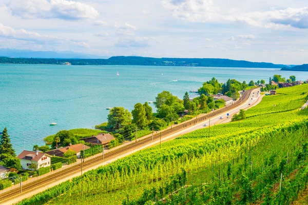 Vinhedos Torno Bielersee Switzerlan — Fotografia de Stock