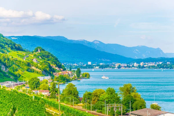 Vingårdarna Kring Bielersee Schweiz — Stockfoto