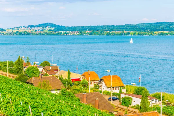 Twann Tuscherz Belägen Bielersee Nära Biel Bienne Schweiz — Stockfoto