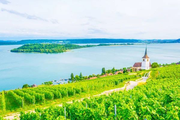 Kościół Ligerz Stojący Środku Winnic Bielersee Switzerlan — Zdjęcie stockowe