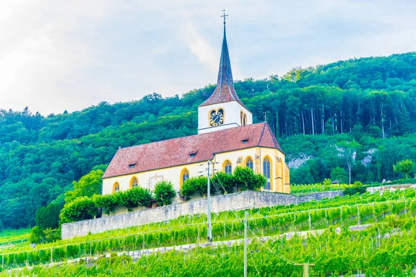 Igreja Ligerz Meio Vinhas Bielersee Switzerlan — Fotografia de Stock