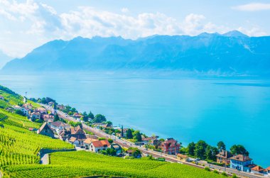 Lavaux şarap bölgesi yakınındaki Lausanne, Switzerlan
