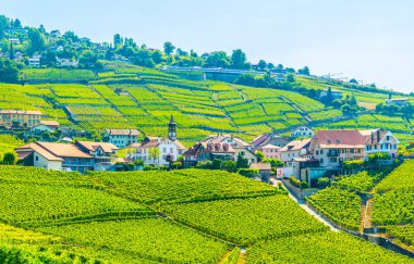 Lavaux şarap bölgesi yakınındaki Lausanne, Switzerlan