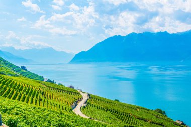 Lavaux şarap bölgesi yakınındaki Lausanne, Switzerlan