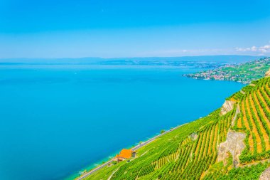 Lavaux şarap bölgesi yakınındaki Lausanne, Switzerlan