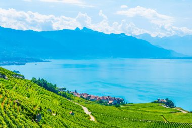 Lavaux şarap bölgesi yakınındaki Lausanne, Switzerlan