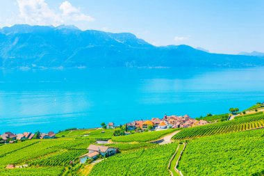Lavaux şarap bölgesi yakınındaki Lausanne, Switzerlan