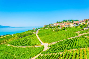 Lavaux bölgesinin switzerlan köyünde Chexbres