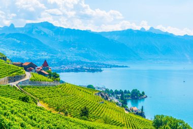 Lavaux şarap bölgesi yakınındaki Lausanne, Switzerlan