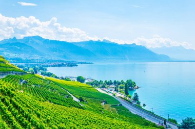 Lavaux şarap bölgesi yakınındaki Lausanne, Switzerlan