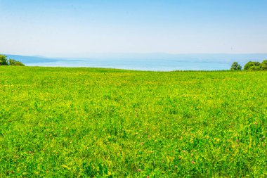 Geneva Gölü'nden Mont Pelerin, Switzerlan havadan görünümü