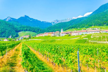 Switzerlan köyde Yvorne görünümünü