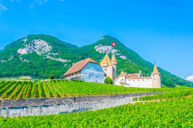 Aigle kalede çevreleyen üzüm bağları ve Alpler, Switzerlan bakan