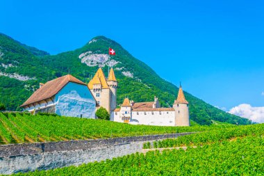 Aigle kalede çevreleyen üzüm bağları ve Alpler, Switzerlan bakan